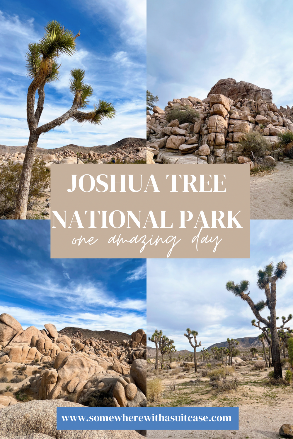 How to Spend a Day in Breathtaking Joshua Tree National Park